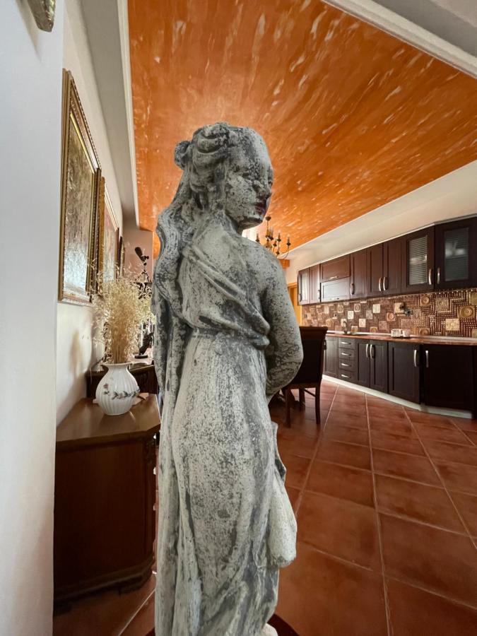 Venus - Cozy Apt With Terrace Vlorë Esterno foto